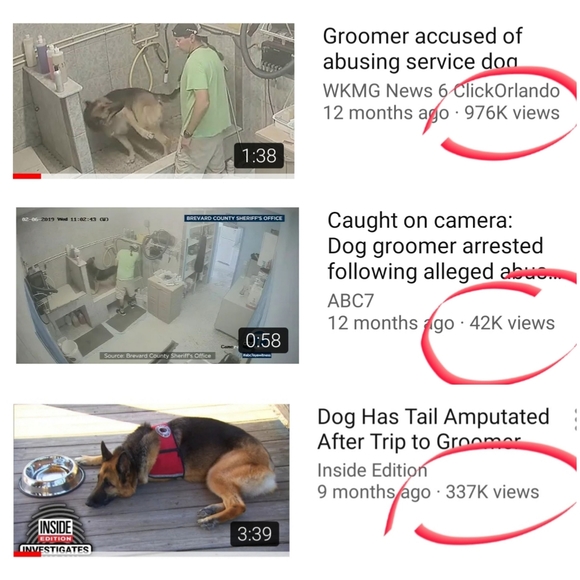 T-shirt Justice For "TT" The Service Dog - Picture 6 of 8